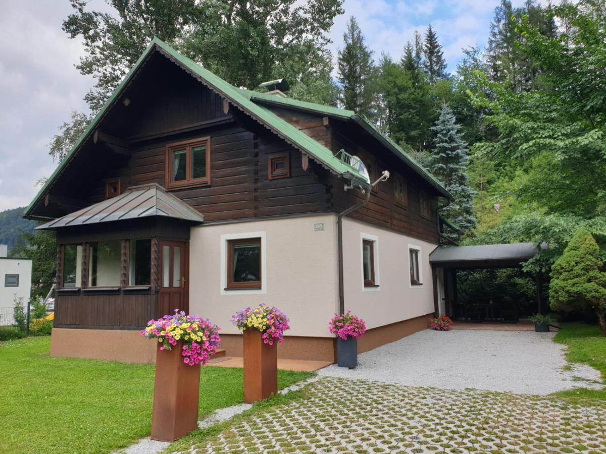 Freeride-Living Villa Annaberg im Lammertal Eksteriør bilde